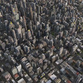 RT Organic City 01